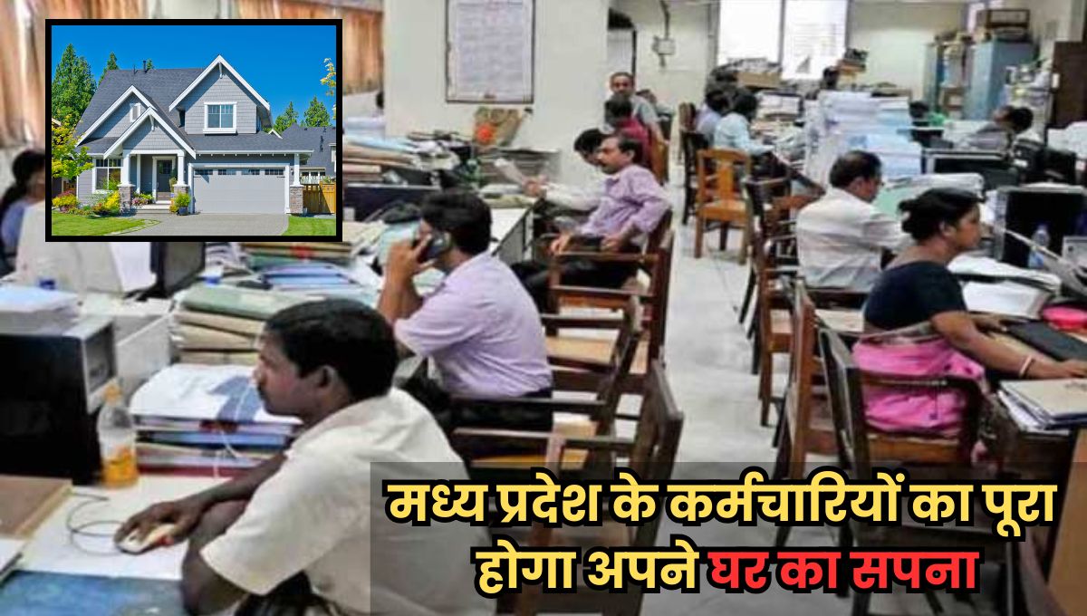 MP News