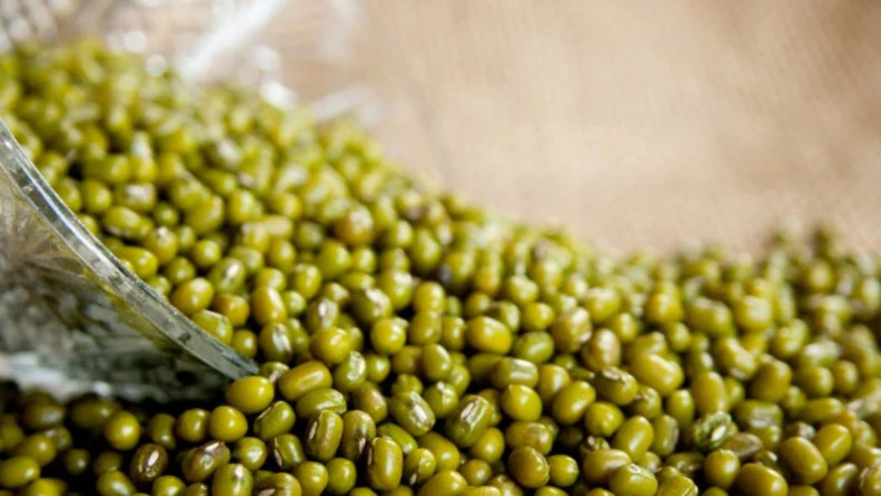 Moong Mandi Bhav