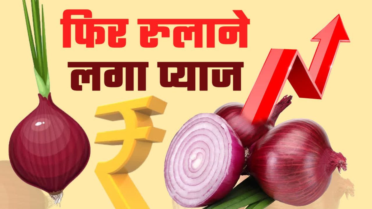Pyaj Mandi Bhav