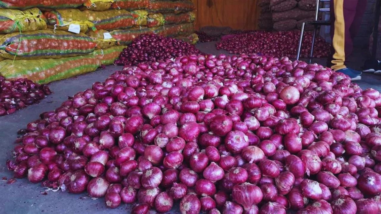 Pyaj Mandi Bhav
