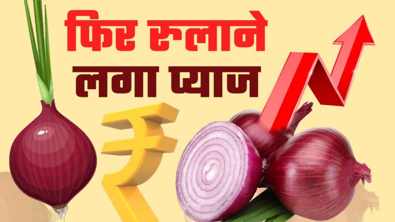 Pyaj Mandi Bhav