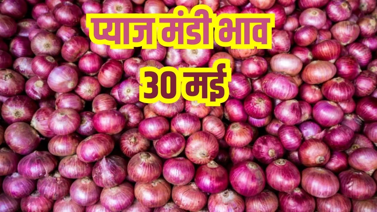 Pyaj Mandi Bhav