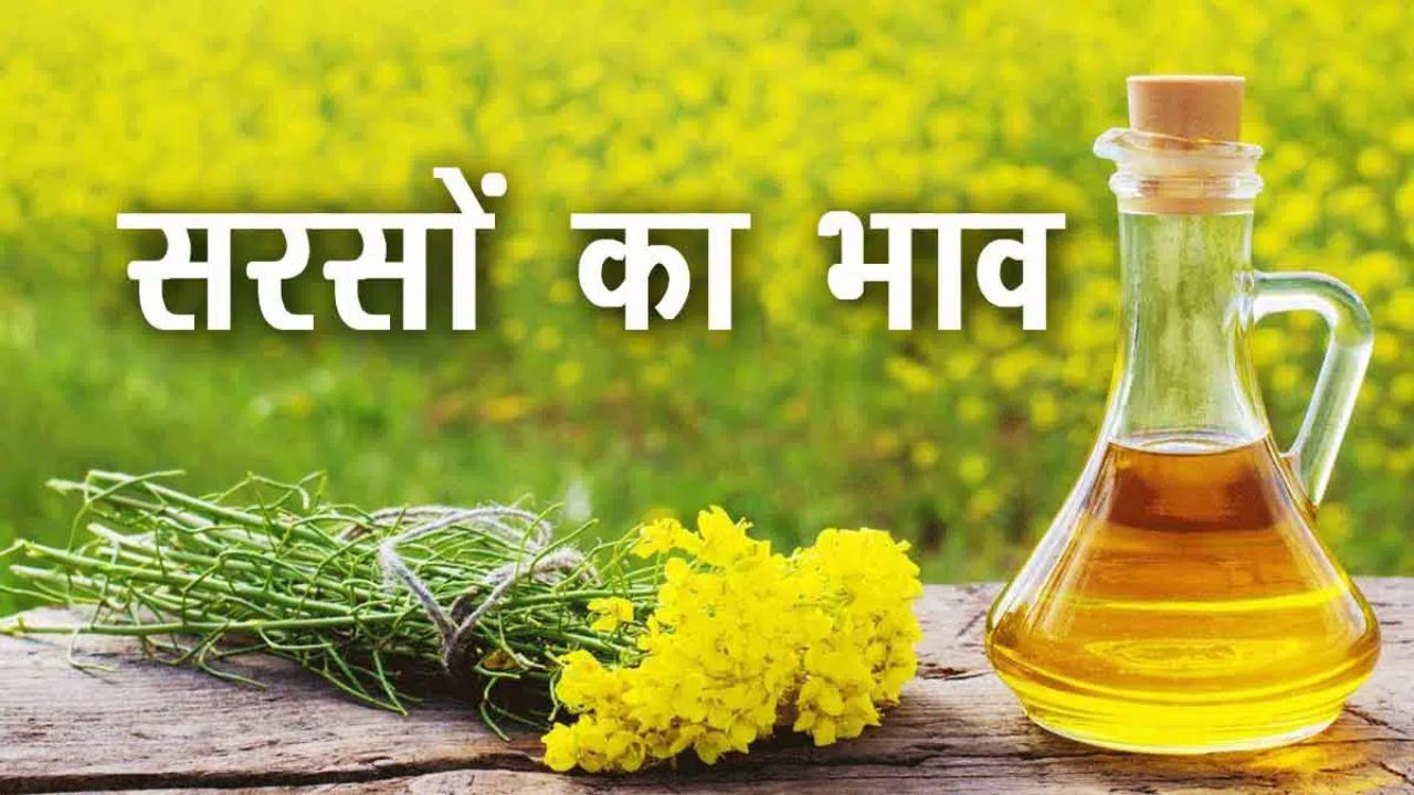 Sarso Mandi Bhav