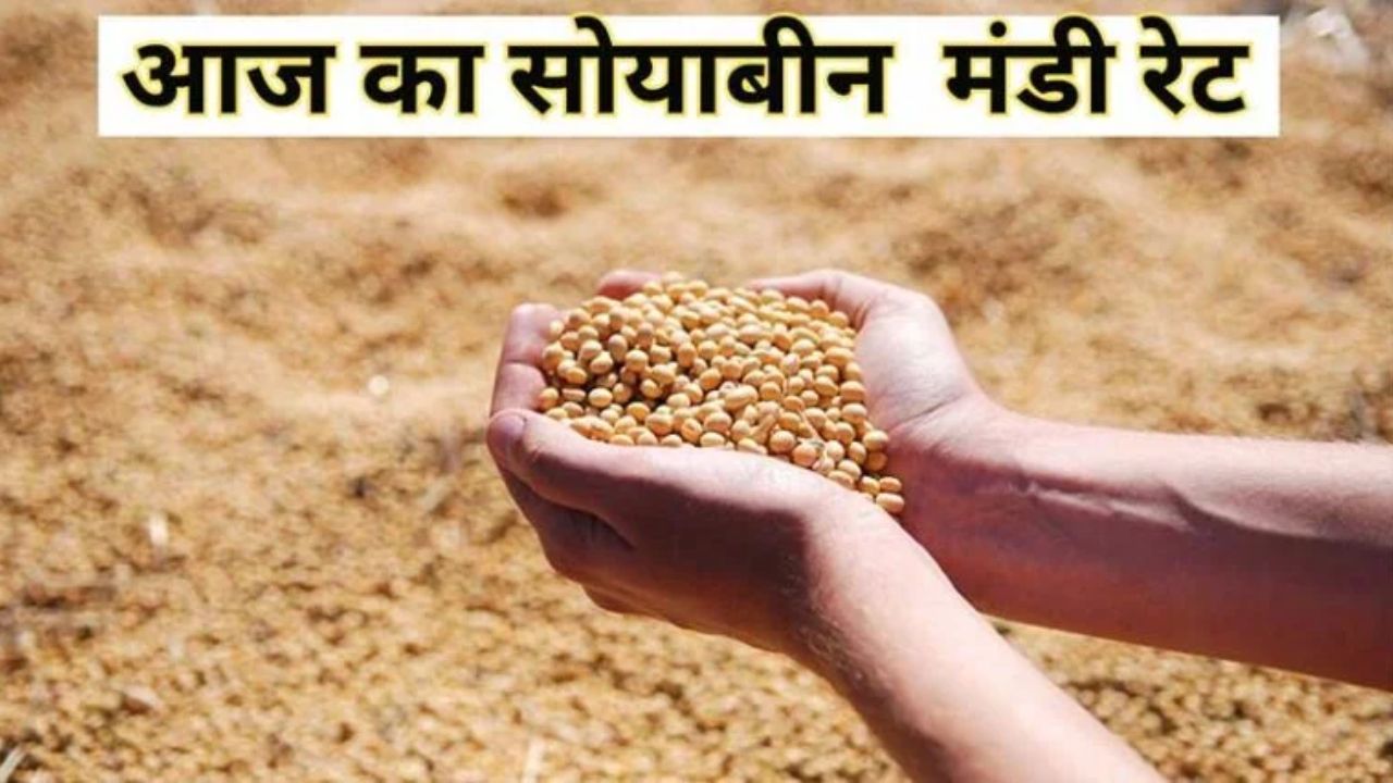 Soyabean Mandi Bhav