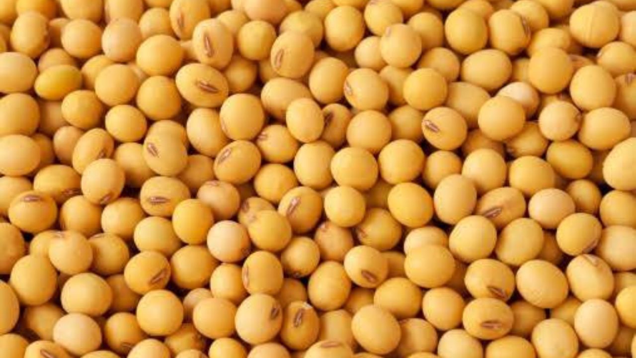 Soyabean Mandi Bhav