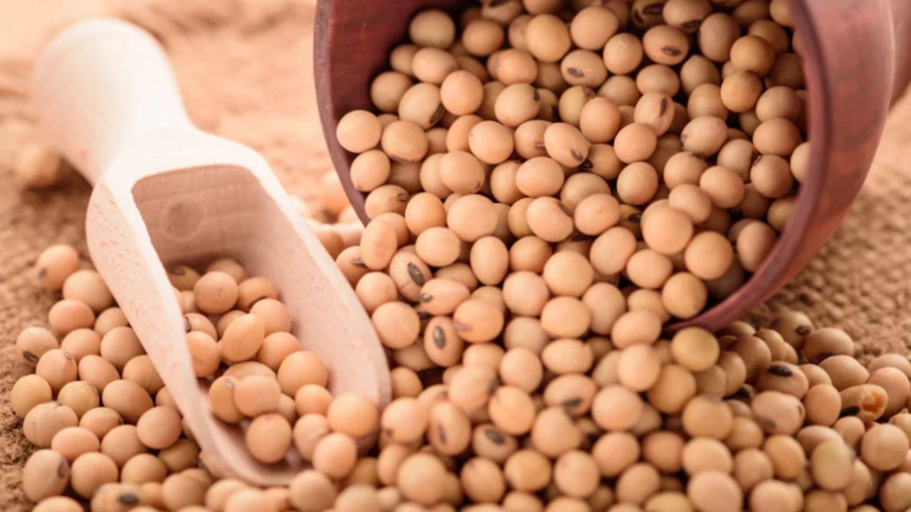 Soyabean Mandi Bhav