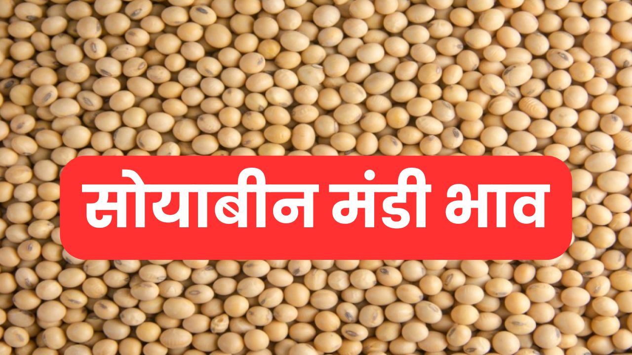 Soyabean Mandi Bhav