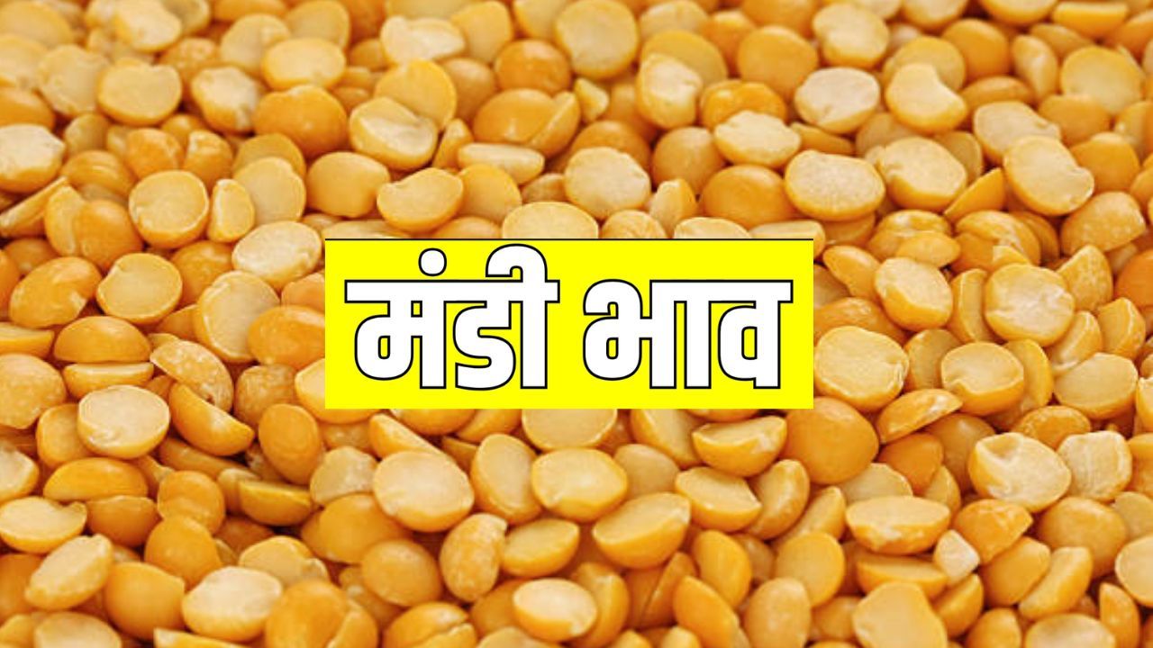 Tuar Mandi Bhav