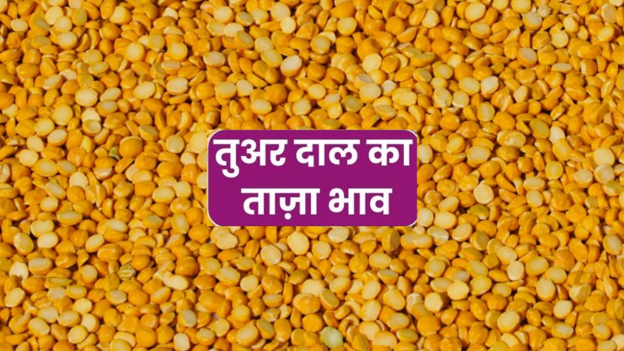 Tuar Mandi Bhav