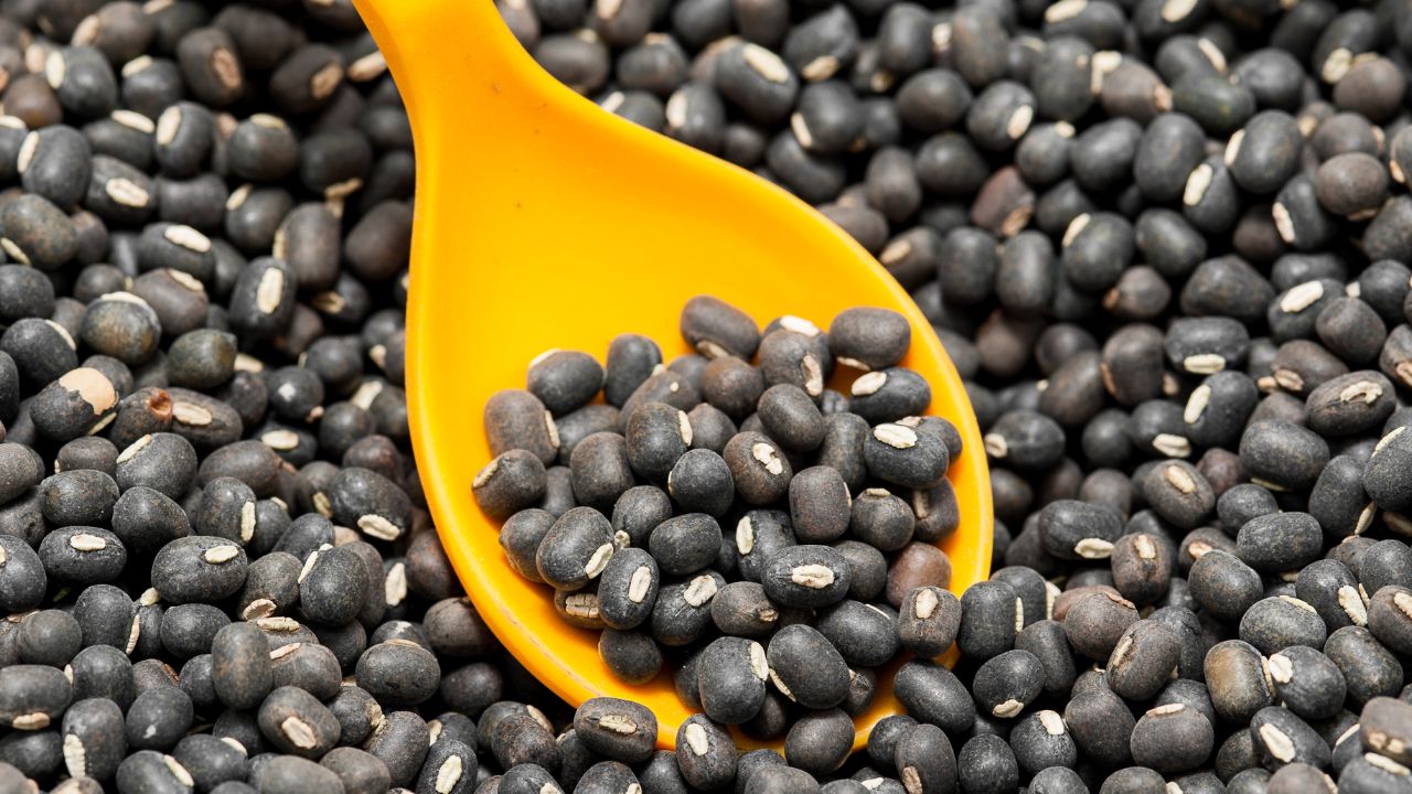 Urad Mandi Bhav