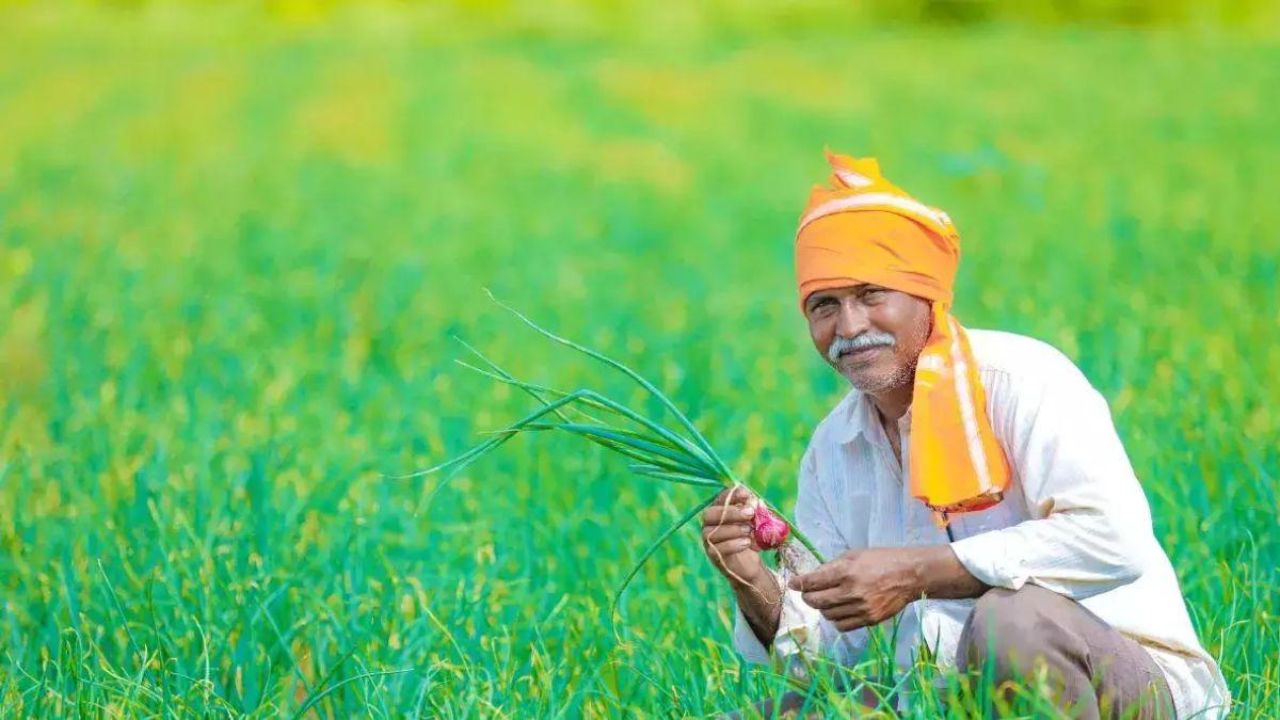 Vermi Compost Subsidy