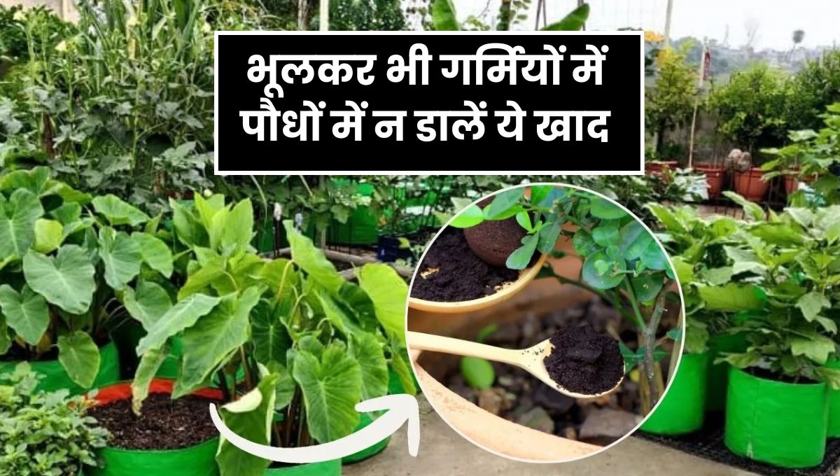 Gardening Tips