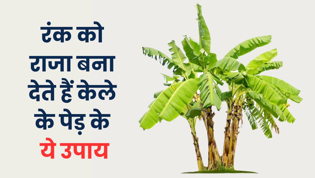 Kele ke ped ke upay