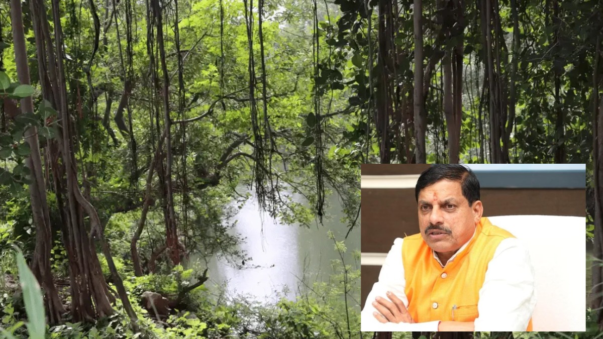 MP में हरियाली के लिए बड़ी पहल, 7 शहरों के बीच बसाया जाएगा घना जंगल, सरकार का बड़ा प्लान