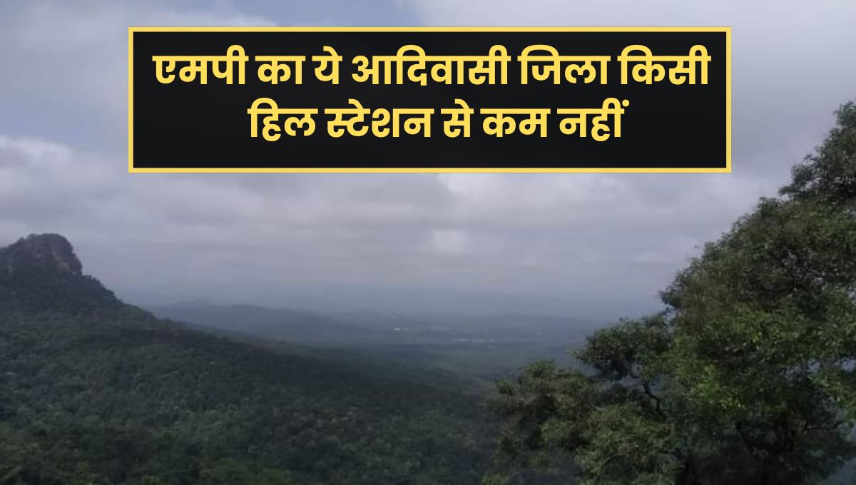 MP News