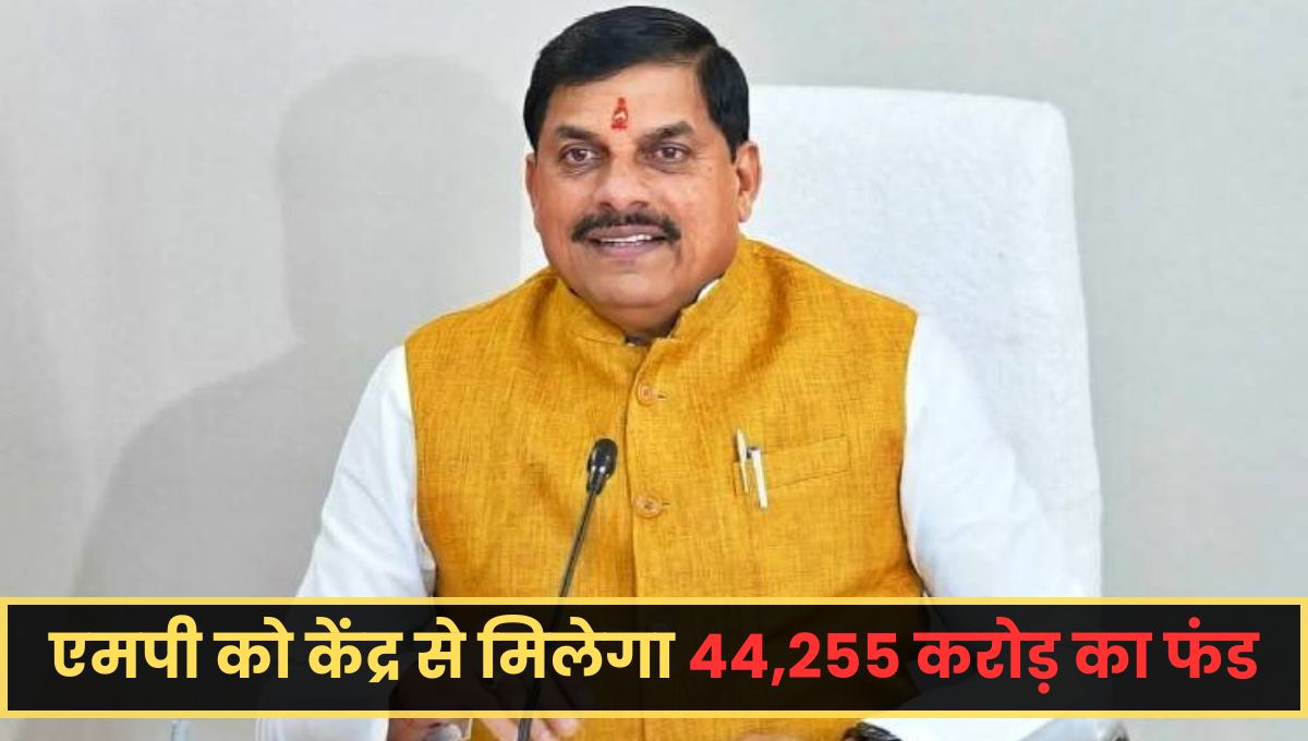 MP News