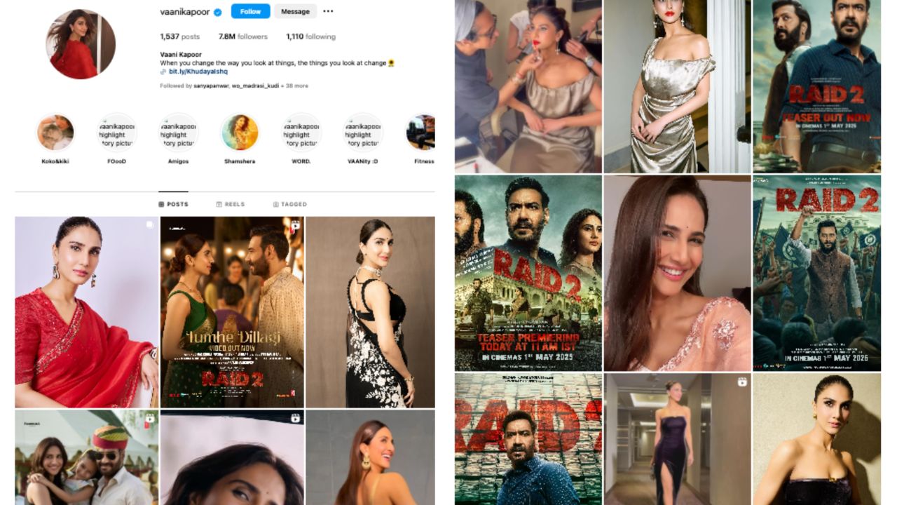 vaani delete all insta post
