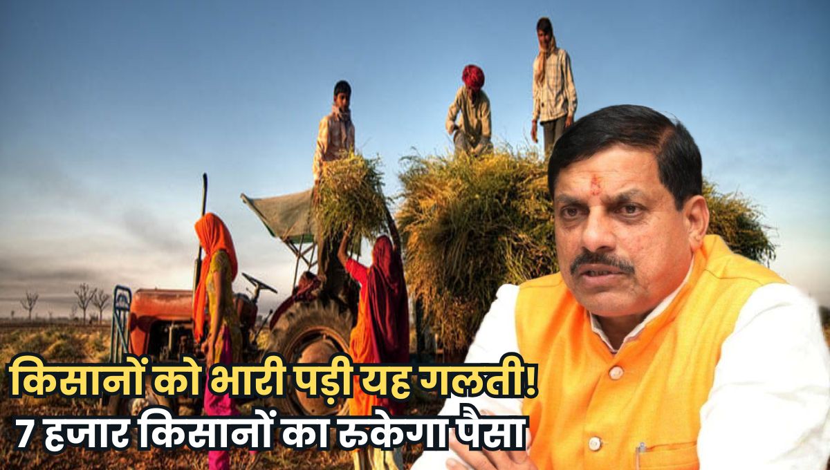 MP News