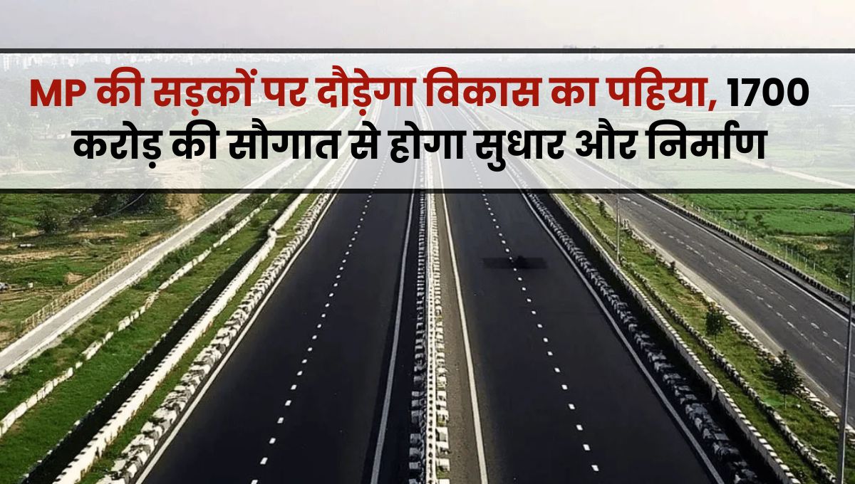 MP News