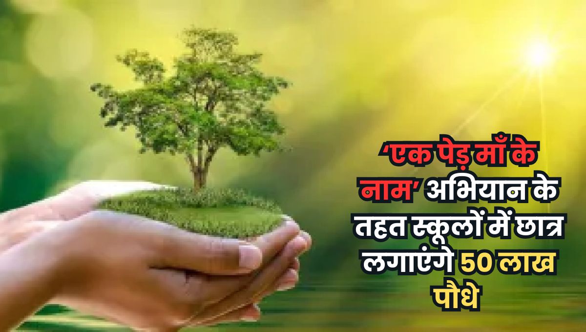 MP News