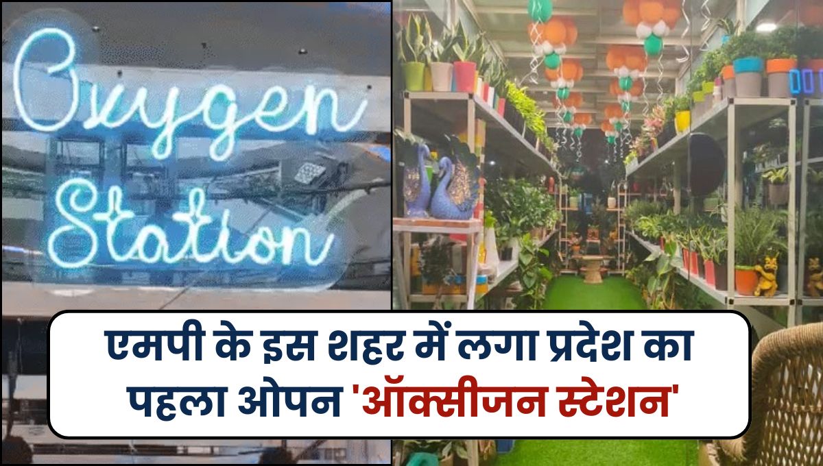 MP News