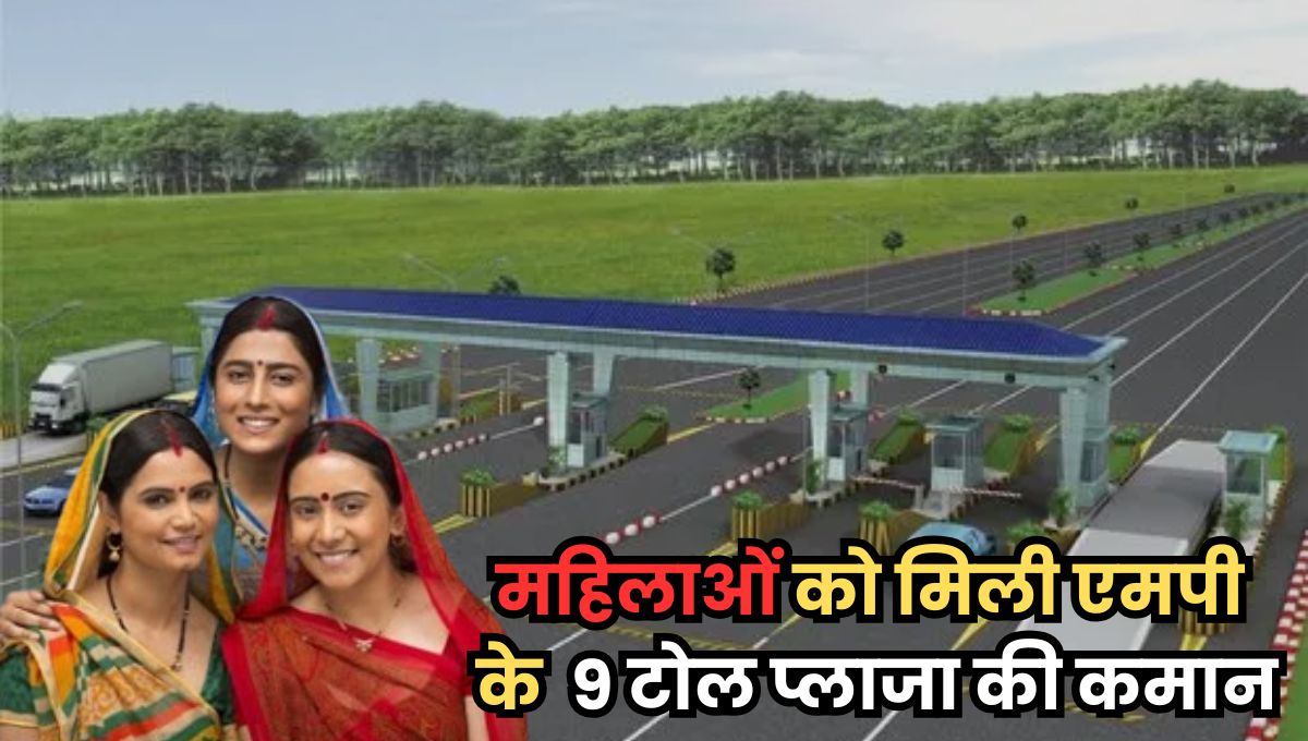 MP News