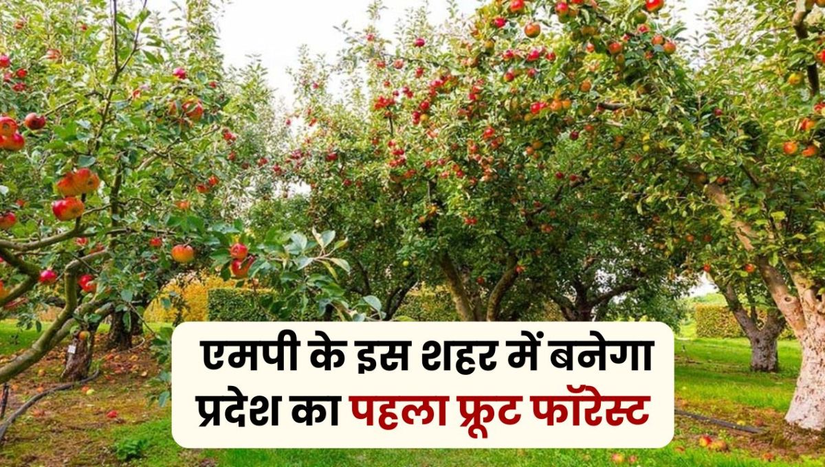 MP News