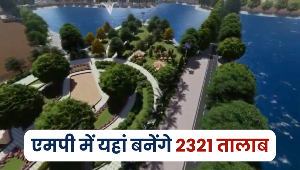 MP News