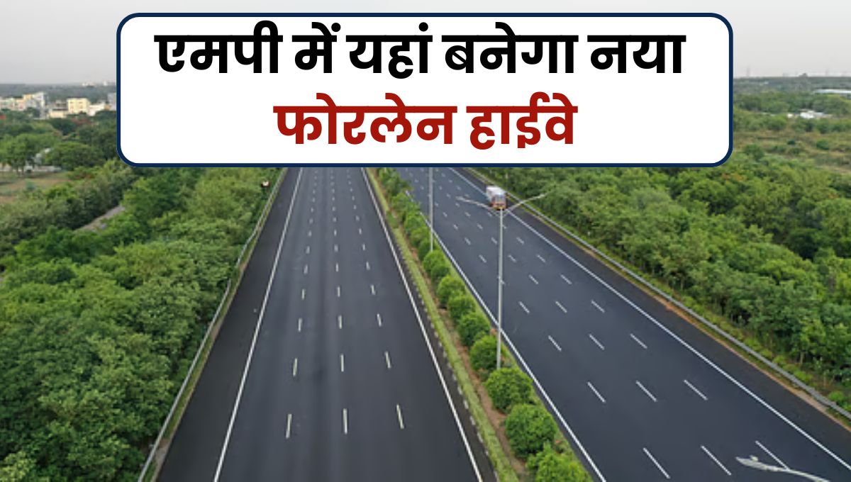 MP News