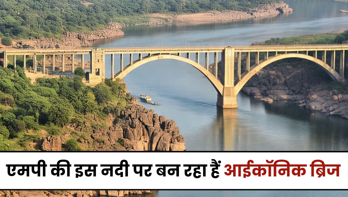 MP News