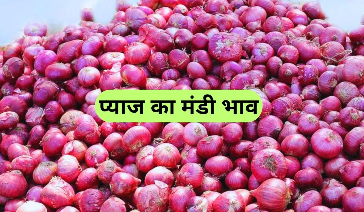 प्याज की कीमतों में लगा तेजी का तड़का, जाने 3 जून 2025 के ताजा मंडी के भाव