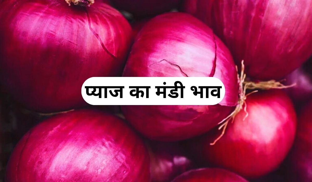 प्याज की कीमतों में हलचल ने मचाया हड़कंप, जाने 5 जून 2025 के ताजा मंडी के भाव