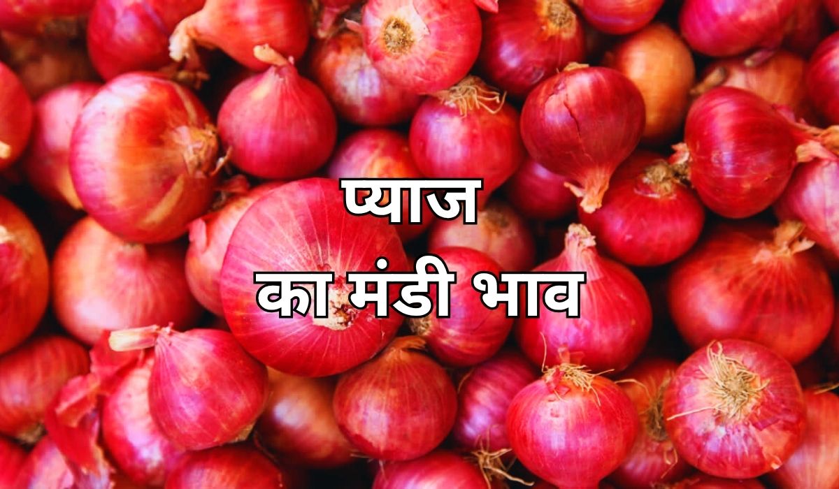 प्याज की कीमतें फिर चढ़ी तेजी के ट्रैक पर, जाने 6 जून 2025 के ताजा मंडी के भाव