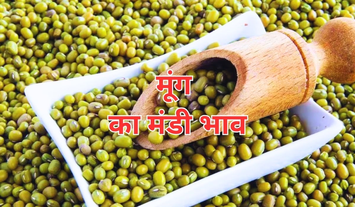 मूंग का आज का बाजार भाव क्या रहा, जाने 6 जून 2025 के ताजा मंडी के भाव