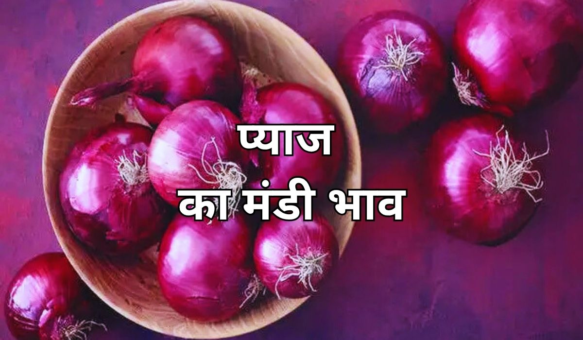 प्याज के भाव में फिर तूफानी तेजी के आसार, जाने 7 जून 2025 के ताजा मंडी के भाव