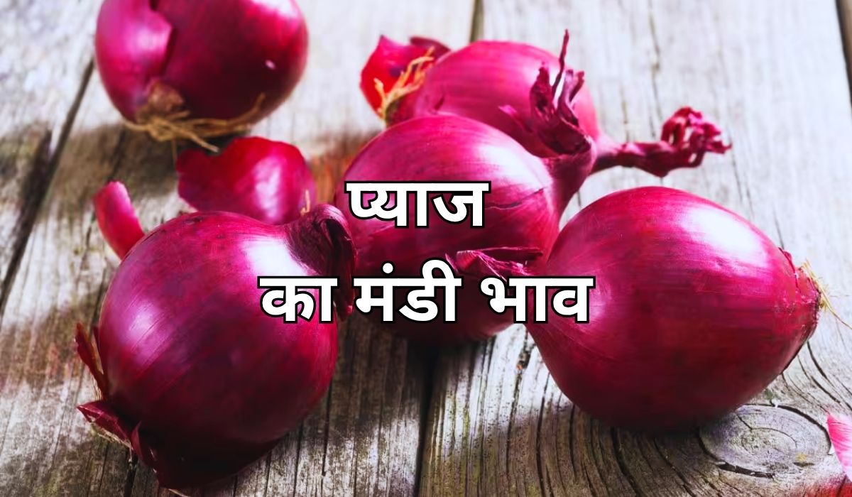 आज क्या कहता है प्याज का गणित, जाने 10 जून 2025 के ताजा मंडी भाव