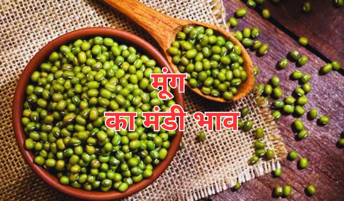 मूंग के भाव में आज भी तेजी बरकरार, जाने 17 जून 2025 के ताजा मंडी के भाव