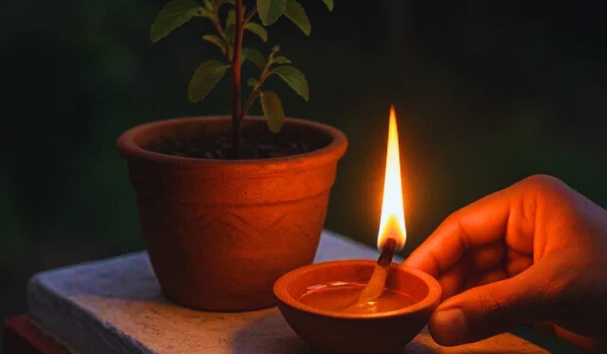 आंगन में तुलसी के पौधे में दीपक जलाने के कई चमत्कारिक फायदे, जाने क्या कहता है वास्तु शास्त्र