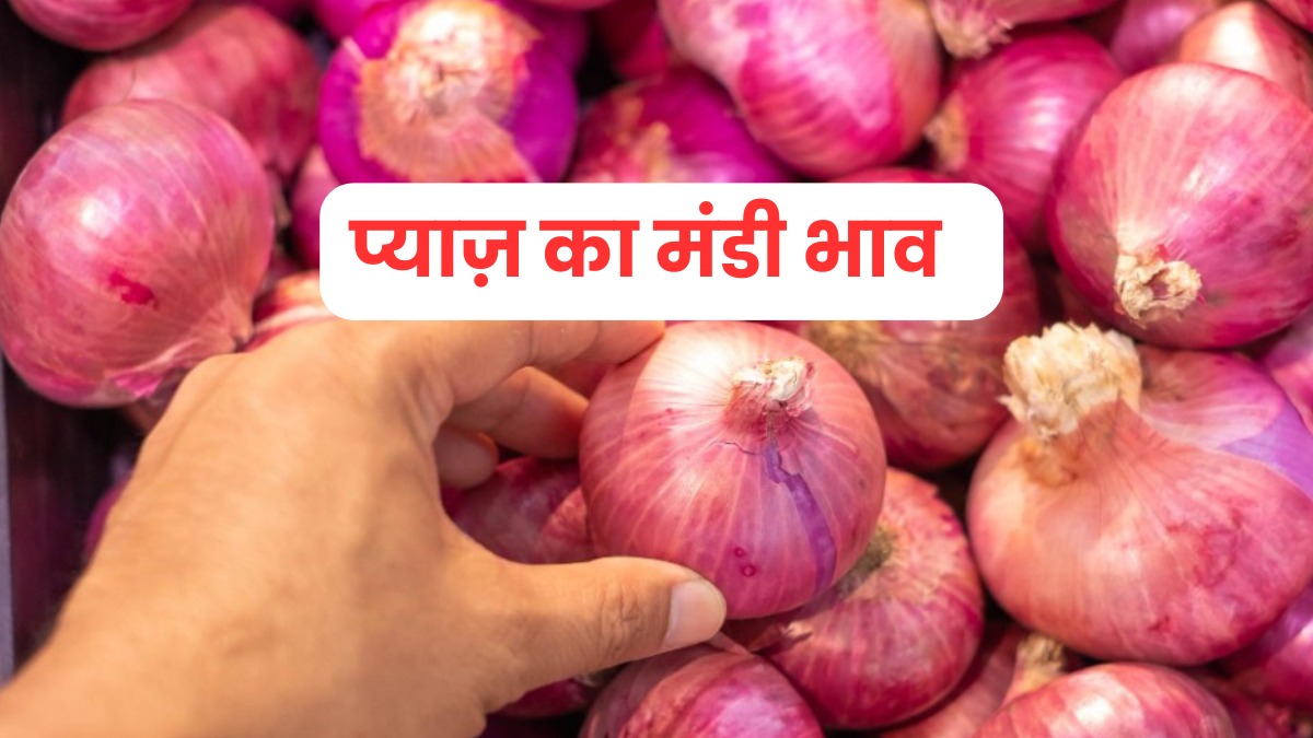 प्याज की कीमतों ने मचाया तहलका, जानें 1 जून 2025 के ताजा रेट