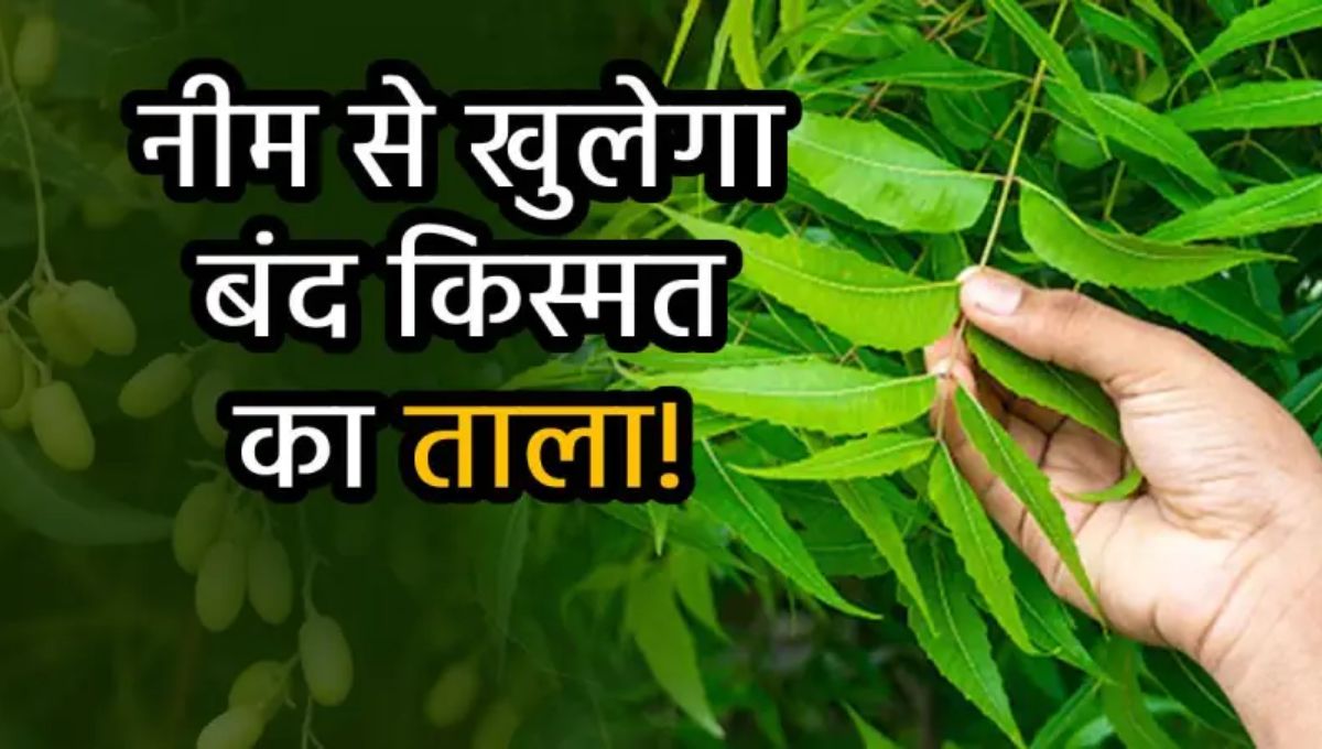 Neem ke Totke