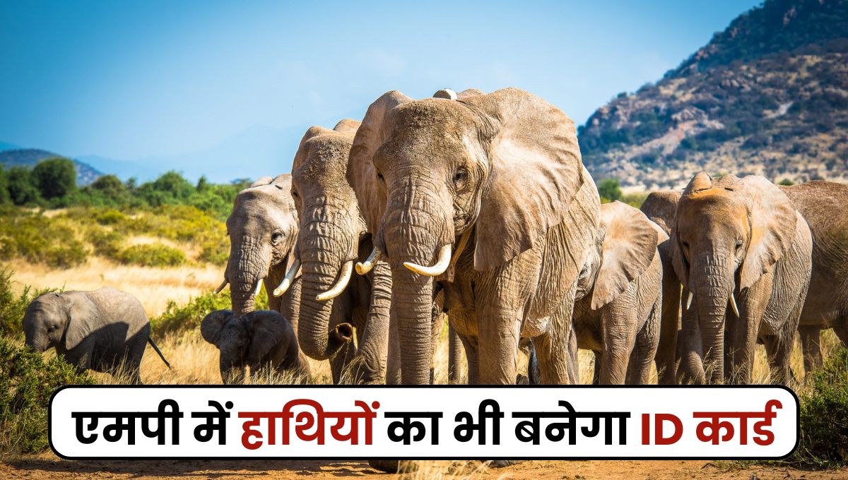 MP News