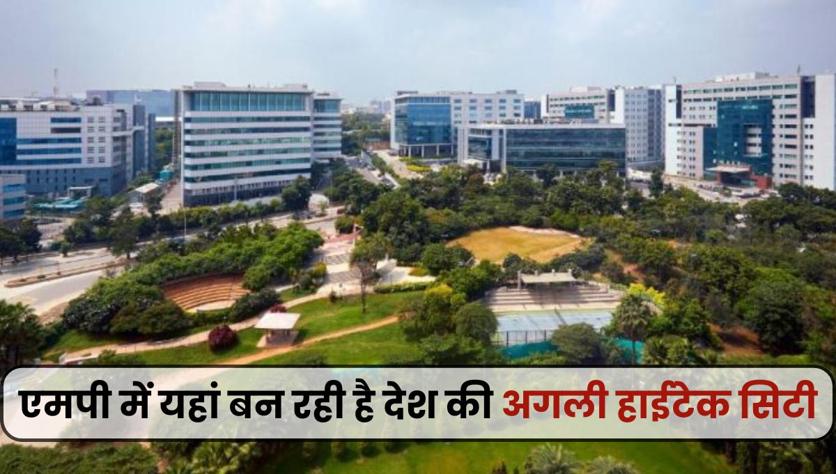 mp news