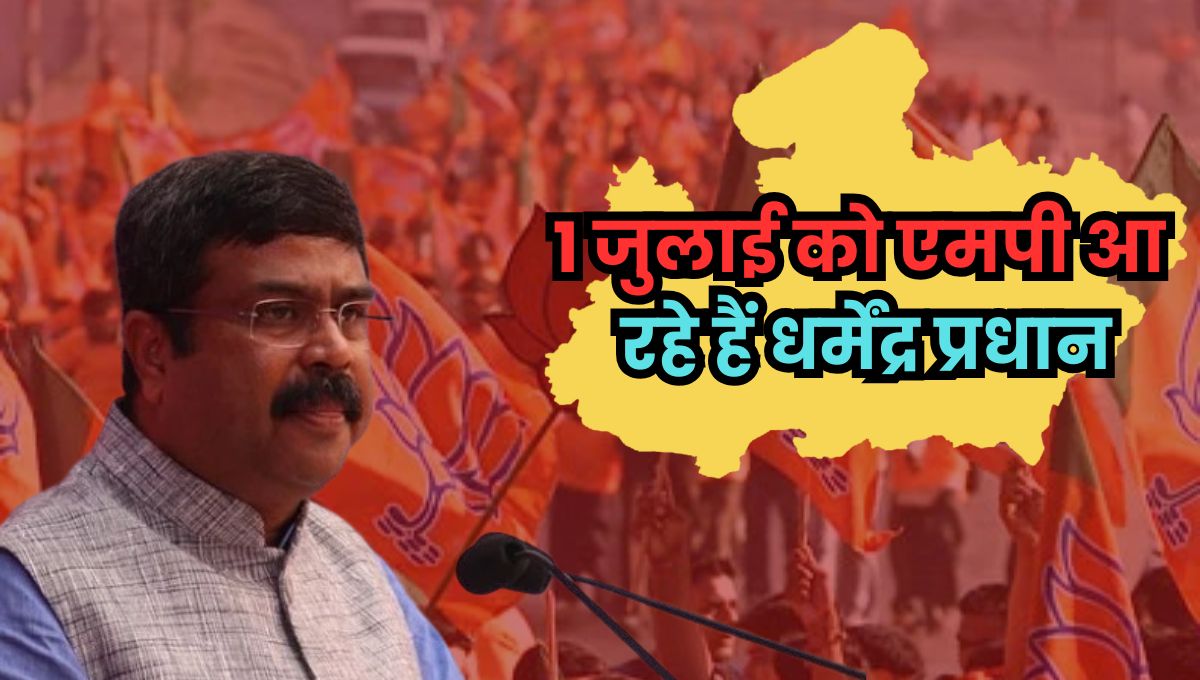 MP NEWS