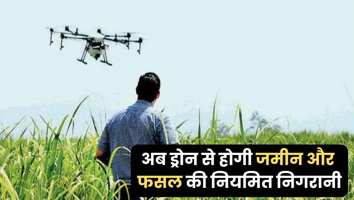 MP News