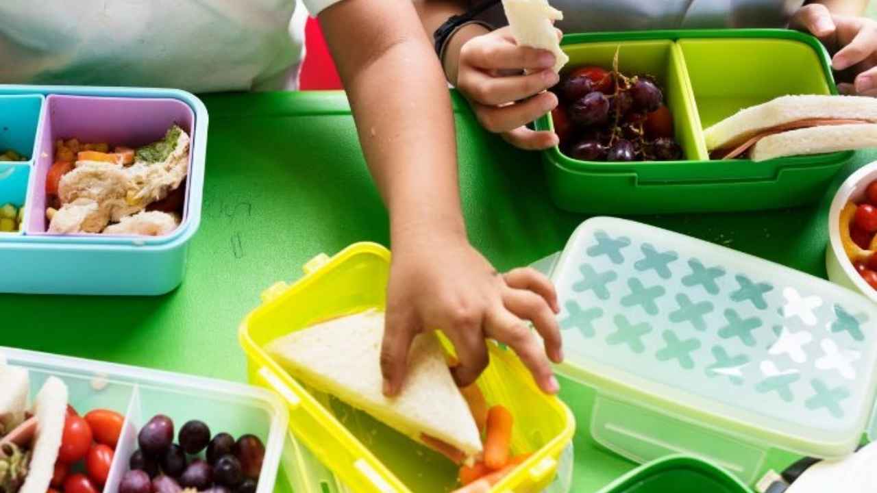 Plastic tiffin can be the cause of disease