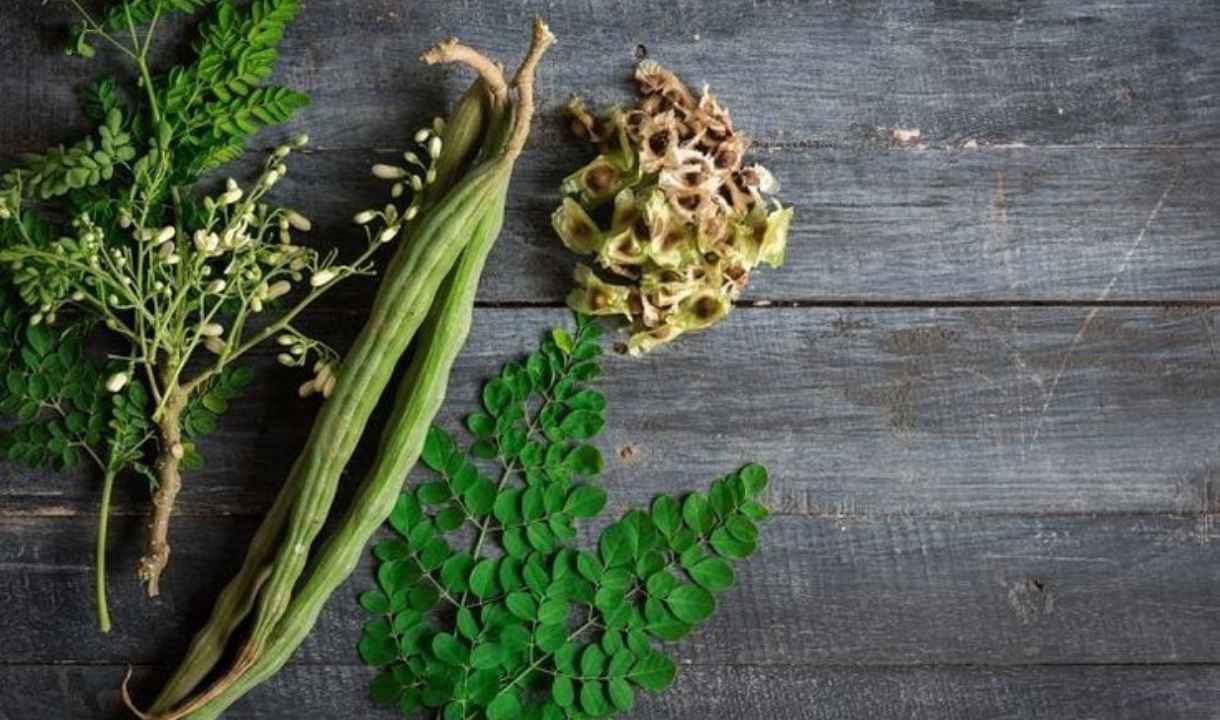 सहजन की पत्तियां