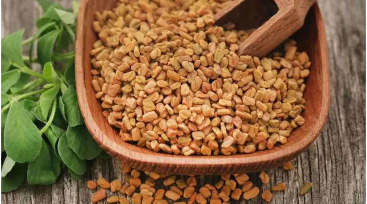 Fenugreek Benefits: