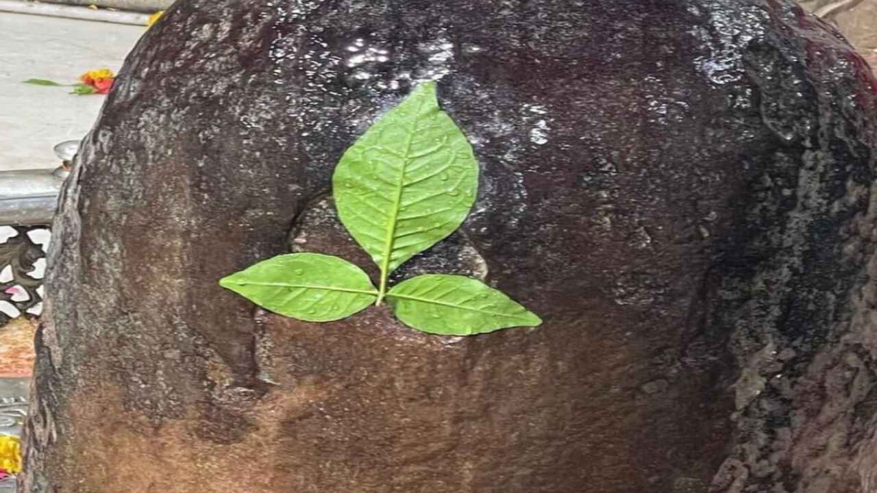 शिवलिंग पर बेलपत्र अर्पण करने के नियम