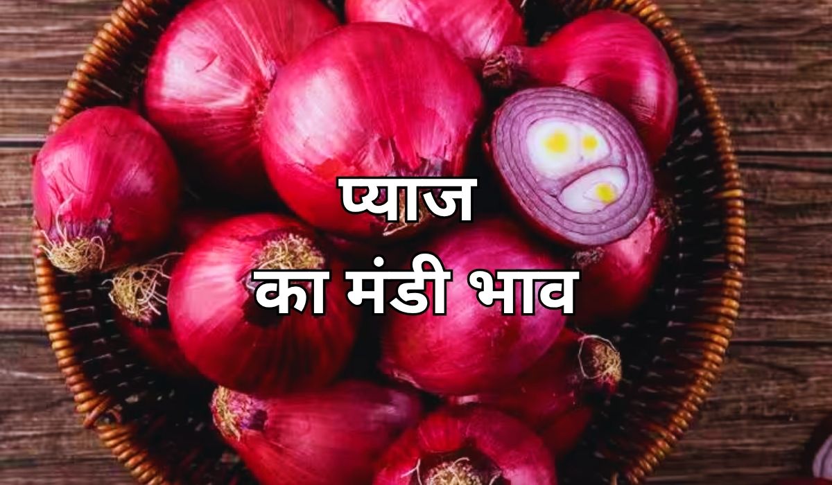 प्याज के भाव में आया जबरदस्त नया मोड़, जाने 29 जुलाई 2025 के ताजा मंडी भाव