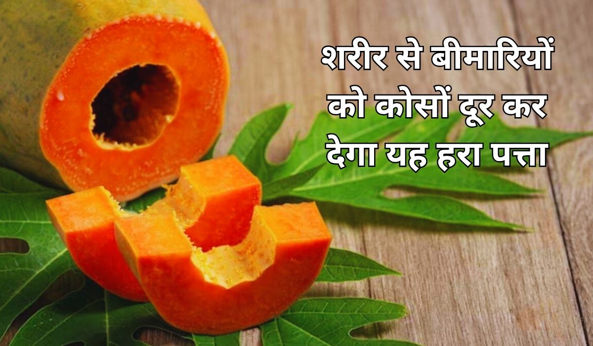 शरीर से बीमारियों को कोसों दूर कर देगा यह हरा पत्ता, जाने इसके अनोखे फायदे